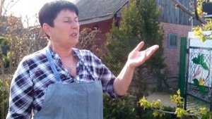 Серая гниль или монилиальный ожог абрикоса. Прореживание