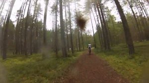 Лемболовский марафон 2016