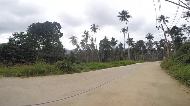 Самуи. Пальмы 4 смотреть онлайн