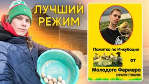 Наше любимое хозяйство | С успешной Инкубацией ! Перепела, Утки, Гуси, Кролики, Цыплята