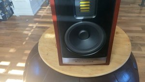 REVIEW of the Martin Logan Motion 15i Bookshelf Speakers! Get this before you get the Kef LS50