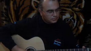 Мертвые листья (опавшие листья) на аккустической гитаре