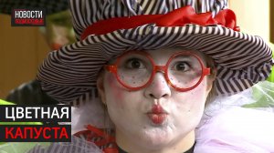 В Мытищах прошёл фестиваль уличных артистов «Цветная капуста».