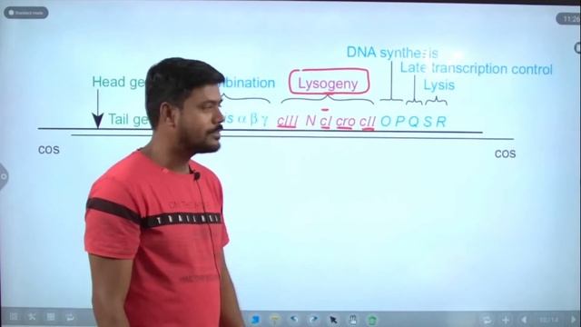 Bacteriophage Lamda | Lytic and Lysogenic Decision | CSIR-NET, Life Sciences | GATE | IIT-JAM | смотреть онлайн