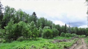 Веломаршруты доктора Тропинкина: малое зеленоградское велокольцо. ч. 2