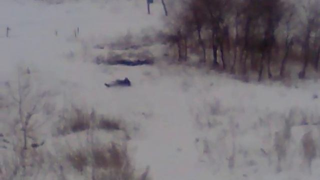 Самые смешные видео смотреть онлайн