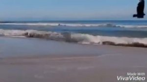 Песня "Сени суюп" в исп. Бурлият Эльмуозаевой.