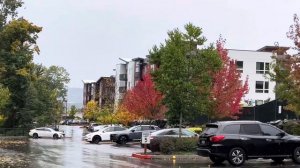 Что такое Осень - это небо . Плачущее небо под ногами . В лужах разлетаются, птицы с облакам . Осен