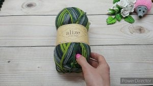 СП "Носочная дюжина "10 старт Носки из Alize wool time