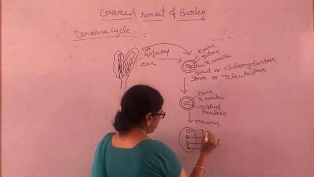 M.Sc. Final Botany Paper-12, Unit-1 (Covered Smut Of Barley)By Dr. Rekha gupta смотреть онлайн