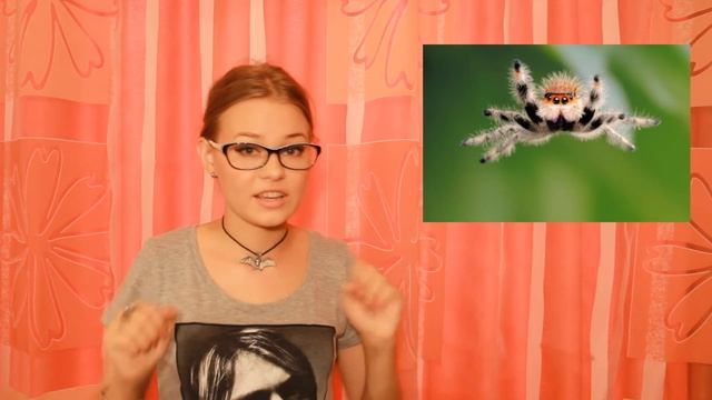 УЗНАЙ НОВОЕ!!! #25. Электризация, прыгающие пауки и белые ночи:)) /BlackBat/ смотреть онлайн