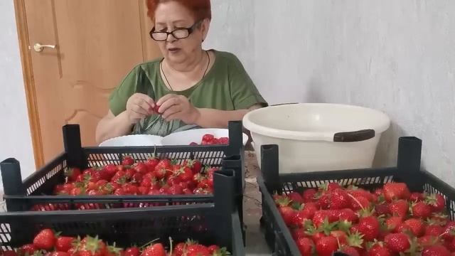 Влог :Купили Дом на Юге /Работаем с 5 утра /Поехали на самосбор клубники / Один день из нашей жизни смотреть онлайн