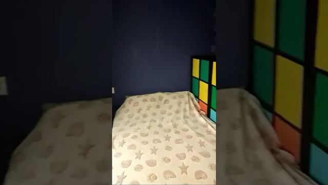 Однокомнатная квартира 54кв м смотреть онлайн