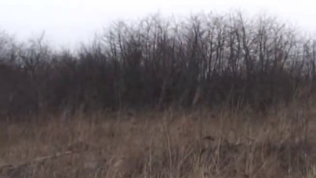 02.04 - Карантин (VhS) смотреть онлайн