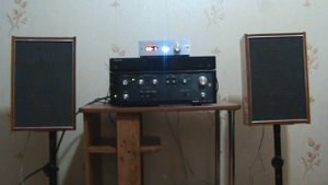 Art Audio Вега 3 AС-2