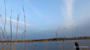 Закрытие весенней охоты с АТА НЕО 12. Получок рулит.