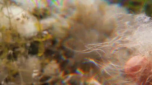 Иран. Красное поселение Абьяни. Дорога из Кашана в Исфахан. смотреть онлайн