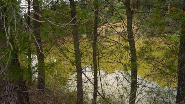 Сердцебиение Матери-Земли - мелодии для медитации на флейте и гитаре коренных американцев