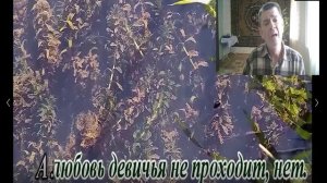 Ой цветёт калина-дуэт.