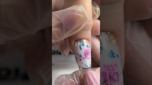 Наращивание на верхние формы + сухоцветы