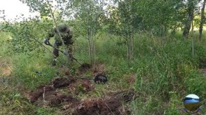 Металлокоп. Вернулся на старое место и не пожалел. Бонус порадовал.