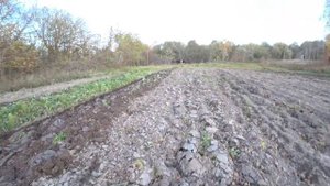 Советский трактор Т-25 даст фору любому Японцу. Осенняя пахота. 18.10.2022г. Отличная работа❗