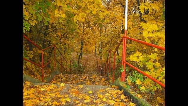 Краски осени
