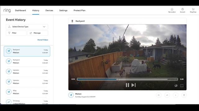 How to access Ring Doorbell videos on a web browser смотреть онлайн