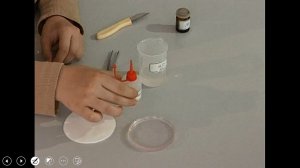 Щелочные металлы