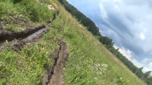 Опять РАЗВАЛИЛСЯ Трелевочник. Дорог нету,но только не для Урала Лесовоза