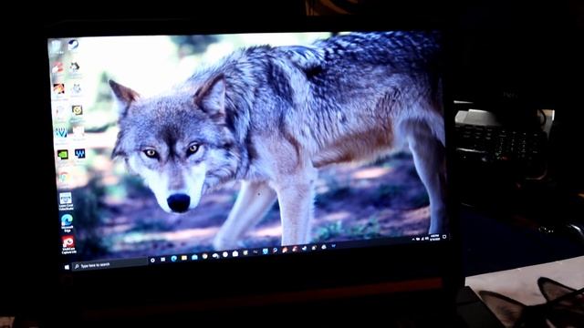 Acer Nitro 5 - 17.3" Laptop Intel i5-9300H Review смотреть онлайн