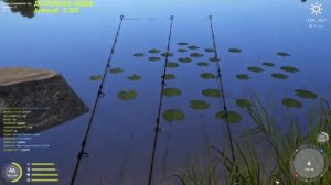 РУССКАЯ РЫБАЛКА 4 (РР4) - ЛОВЛЯ КАРПА В РУССКОЙ РЫБАЛКЕ 4