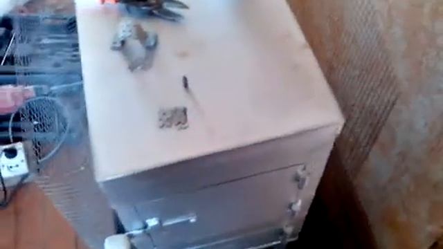 буржуйка тюнинг 1 смотреть онлайн