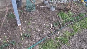 ПЕРЕПАХАЛИ ЗЕМЛЮ? ШУСТРАЯ КАК РАКЕТА? СОЛНЫШКА БУДЕТ БОЛЬШЕ??