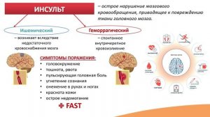 5.1. Нервные и психические заболевания. Инсульт