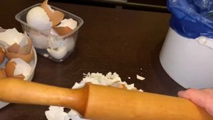 Яичная скорлупа как удобрение. ??? Как я измельчаю яичную скорлупу?