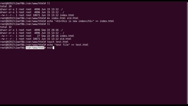 Getting Started with Docker Containers: A Beginner's Guide and Demo | Explained in Hindi смотреть онлайн