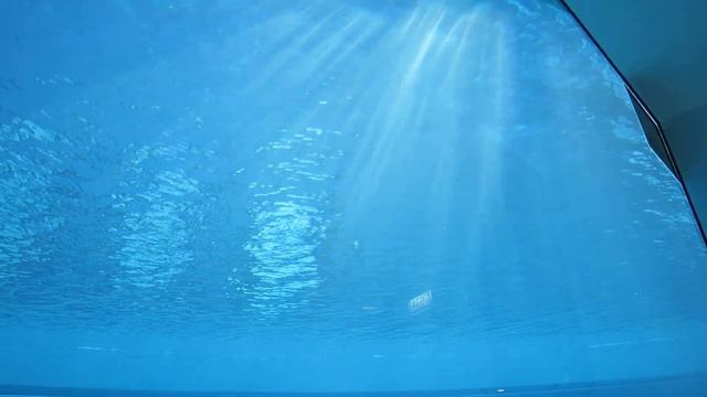 05.12.2022. Россия. Москва. Аквариум для ластоногих, стилизованный под затопленный корабль. Зоопарк смотреть онлайн