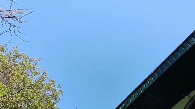 Как коты гуляют и ракеты летают. смотреть онлайн