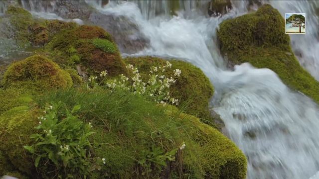 Водопад в новинке. Звук бульканья воды.