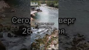 Туристы зависли над рекой Бзыбь на тарзанке путешествие по Абхазии