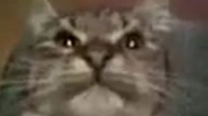 мама забрала у меня телефон в 2020. этот мем ещё популярный?