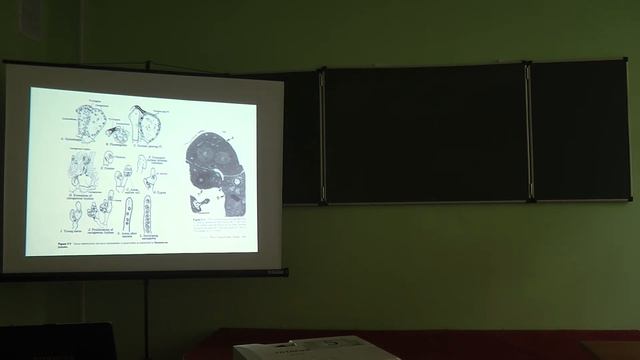 6.11.13 Альгология - Белякова Г.А. часть 2 смотреть онлайн