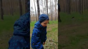 Череп волка в лесу