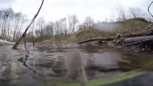 Рация АРГУТ А-54 - надёжность и влагостойкость