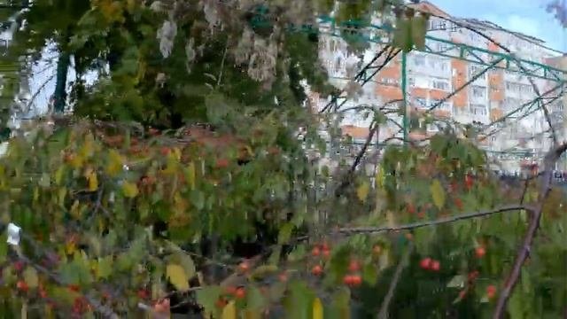 Ставропольский Ботанический сад...отдел продаж.