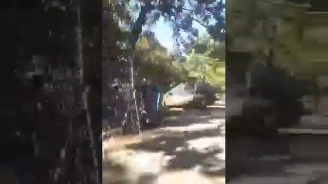 Адлер. На авто по Адлеру. Гостевой Дом на ул Калинина. 2 мин до пляжа "Чайка" ?+79182070046