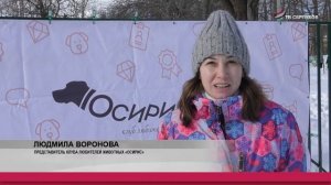 Каждое воскресенье в парке «Жемчужина» проходят встречи дог клуба