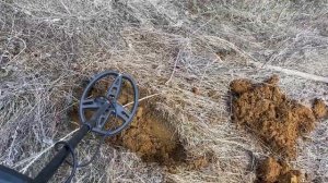 Первый коп сезона! Тест китайского металлоискателя TX 850