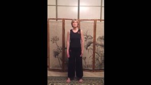 Парящий журавль